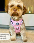 Rugged Rover™ Harness - Pastel Pink