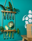 Plant Propagation Gift Set