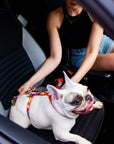 Red Graffiti Dog Car Safety Belt