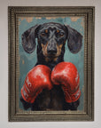 Sausage Dog Boxing Framed Print