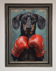 Sausage Dog Boxing Framed Print