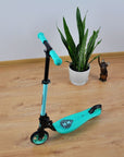 Transform Playtime with the SMRAT Folding Scooter - Durable, Safe & Stylish for Kids by Milly Mally at www.brixbailey.com