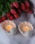 Seashell Shaped Candle - Scented