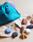 Ocean Shells 8 Natural Beeswax Seashell Crayons in a Handloom Cotton Mini Sack