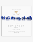 Lapis Lazuli Bracelet and Earring Set