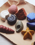Ocean Shells 8 Natural Beeswax Seashell Crayons