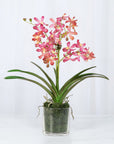 Pink Vanda Orchid Arrangement in Vase - 24"