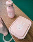 Small Lunch Box with Rabbit Design