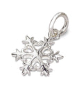 Snowflake Silver Charm