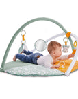 Reverso Playmat for Babies 2 in 1 Play and Photo Design