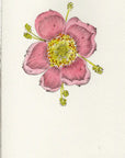 Stationery: Pack of 6 Cards