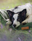 THE RICHMOND | LUXURY GREEN BOLSTER DOG BED
