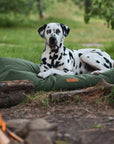 THE RICHMOND | LUXURY GREEN FLAT PILLOW DOG BED