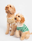Striped T-Shirt - Portuguese Cotton