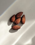 Organic Sweet Almond Carrier Oil – Softening Body & Massage Oil