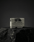 Tea Tree & Clay 100g Soap Bar