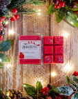 Winter Spice - Wax Melt Clamshell