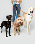 Timeless Dog City Lead - Handmade Leather