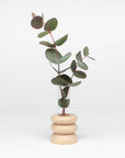 bold short n1 totem wooden vase with a dramatic close-up on its eco-friendly beech wood grain