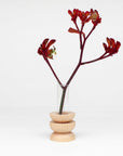 elegant short totem wooden vase with glass tube on a minimalist table