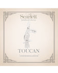 Toucan Parrot Silver Charm