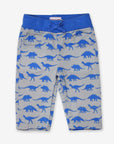 Premium baby cotton pants with playful dinosaur print, soft elastic waistband, cozy jersey lining, machine washable by Toby Tiger at brixbailey.com
