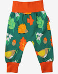 Bright colorful organic kids yoga pants with hedgehog bird leaf snowdrop autumn print, premium soft GOTS certified cotton by Toby Tiger at brixbailey.com