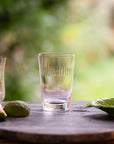 Crystal Tumblers with Spears Design