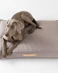 Luxurious Nut Colour Dog Cushion