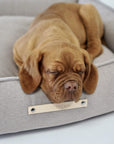 Nut Coloured Dog Bed for Stylish Snoozing