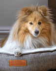 THE LINCOLN | LUXURY TWEED CALMING DONUT DOG BED