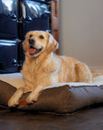 THE LINCOLN | LUXURY TWEED FLAT PILLOW DOG BED