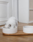 Ceramic Double Pet Buffet in Refined White