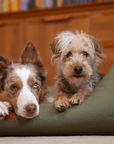 THE HENLEY | LUXURY ORTHOPAEDIC WATERPROOF BOLSTER DOG BED