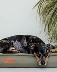 Waterproof & Memory Foam Dog Bed With Removable Covers | Henley