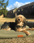 THE HENLEY | LUXURY ORTHOPAEDIC WATERPROOF BOLSTER DOG BED