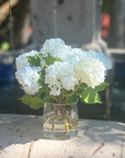 Real touch white hydrangea arrangement in glass vase - 8"