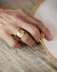 Kotinos Olive Wreath Coin Ring: Amazonite