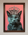 Your Majesty Cat Framed Print