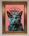Your Majesty Cat Framed Print