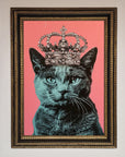 Your Majesty Cat Framed Print