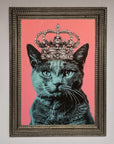 Your Majesty Cat Framed Print