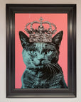 Your Majesty Cat Framed Print