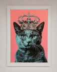 Your Majesty Cat Framed Print