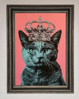 Your Majesty Cat Framed Print