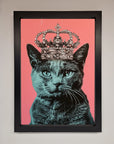 Your Majesty Cat Framed Print