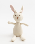 Kiko & Fable - The Cuddly Bunny & Playful Fox Toy