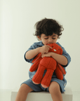Kubo - The Cuddly Bunny Toy