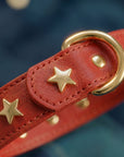 Branni "Star" Handmade Italian Leather Dog Collar
