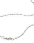 Brix and Bailey Gold Heart Necklace